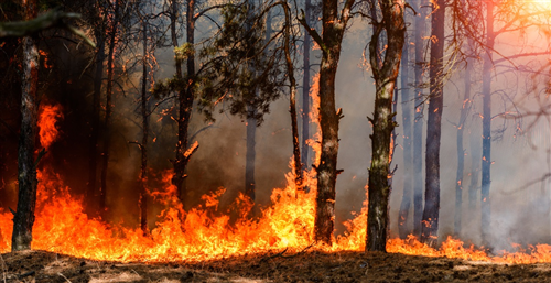 Stato di massimo pericolosità per incendi boschivi